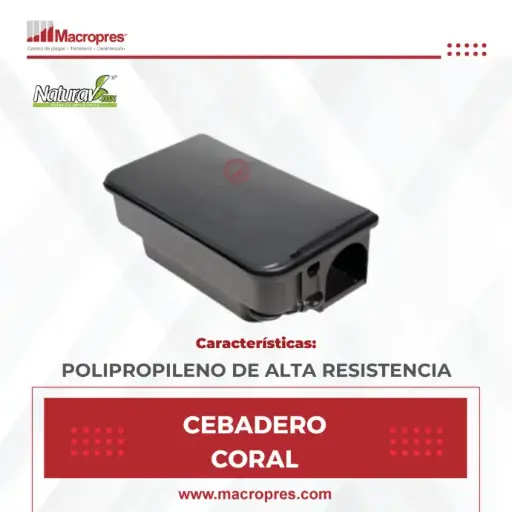Cebadero Coral Naturav